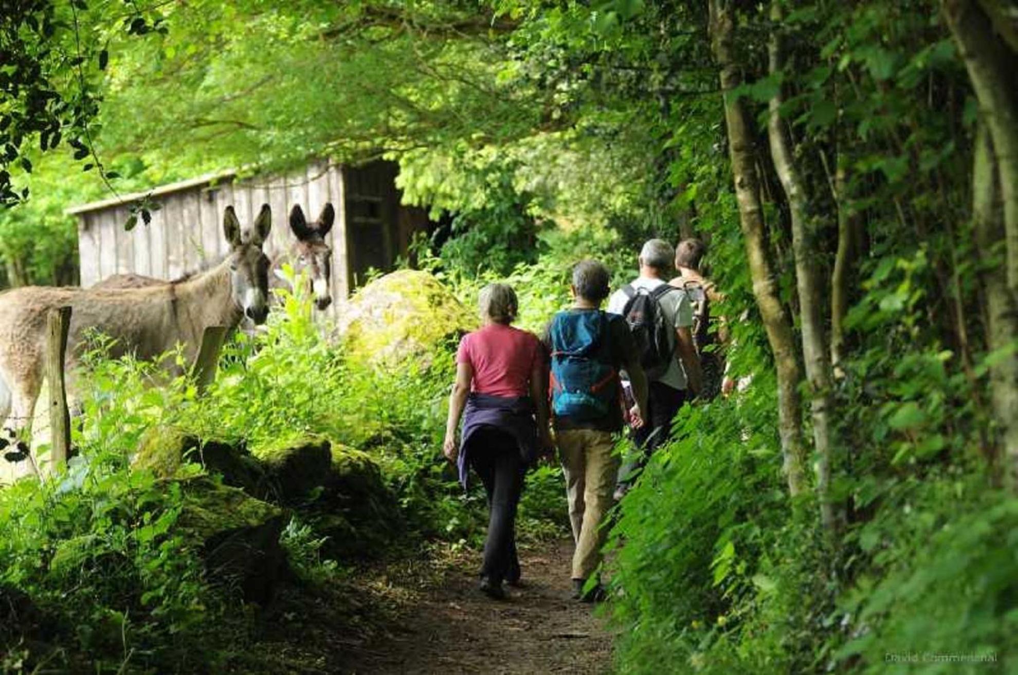 Gite De Fourneaux Pont-d'Ouilly エクステリア 写真