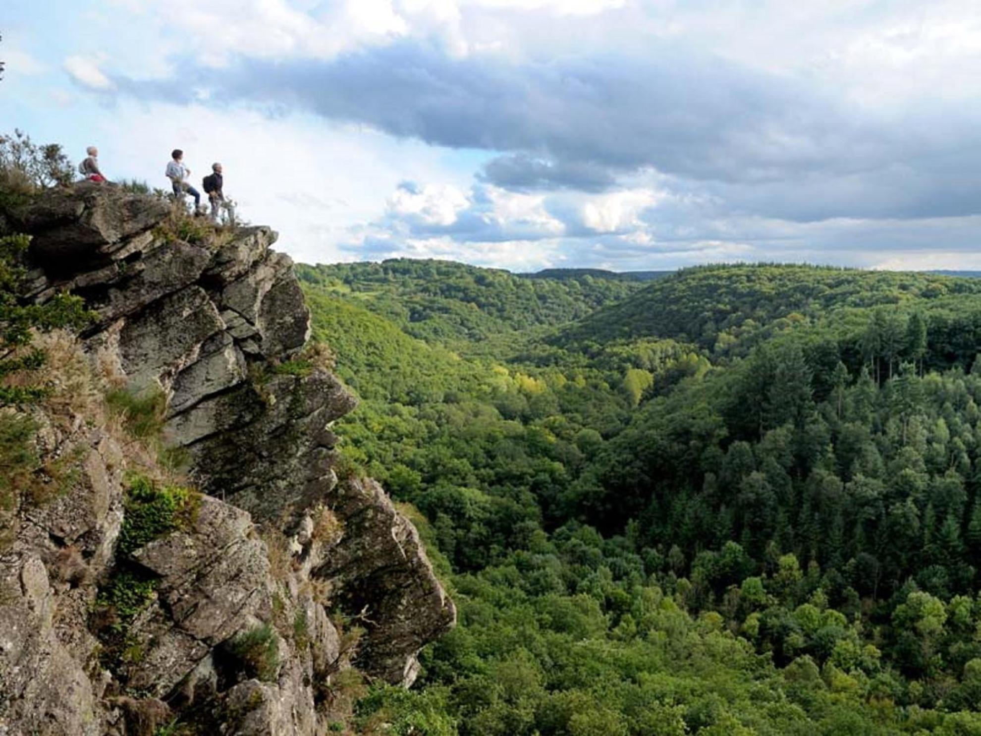 Gite De Fourneaux Pont-d'Ouilly エクステリア 写真
